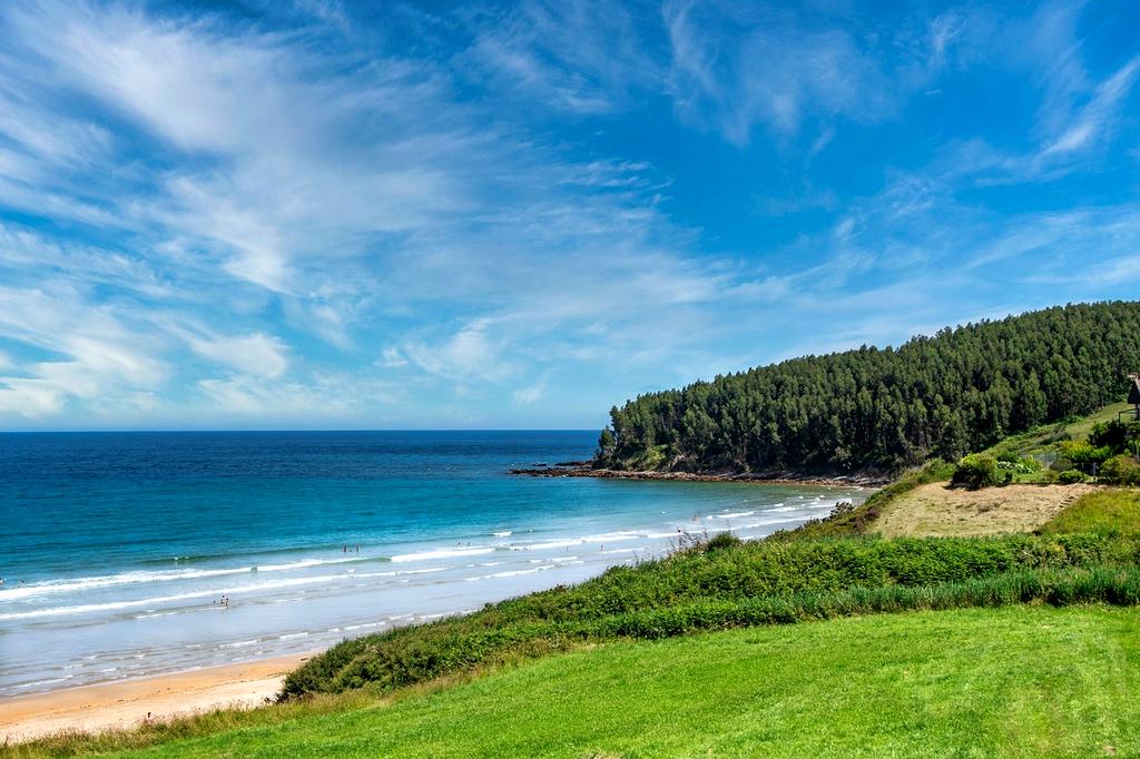 Beach view in Bali with turquoise water and palm trees